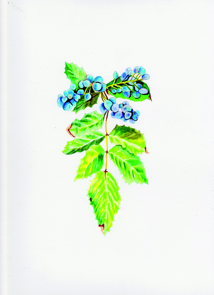 Blue berries