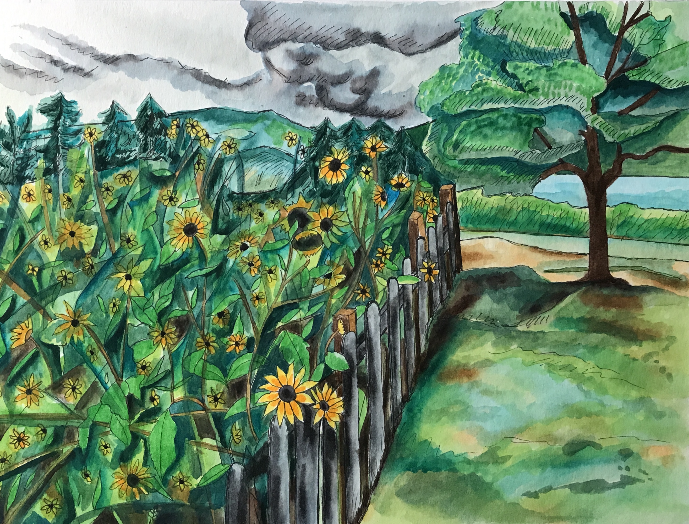 Colorado Landscape 5 gallery