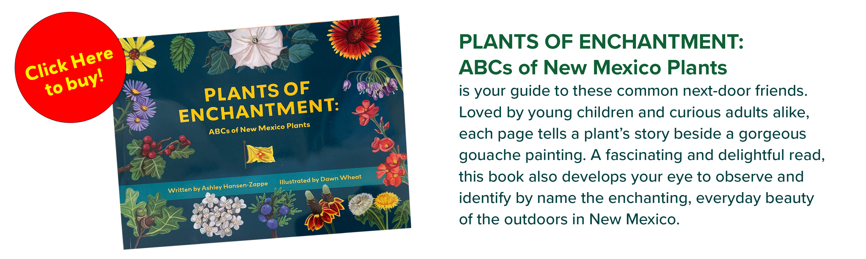Book Cover ABCs Final