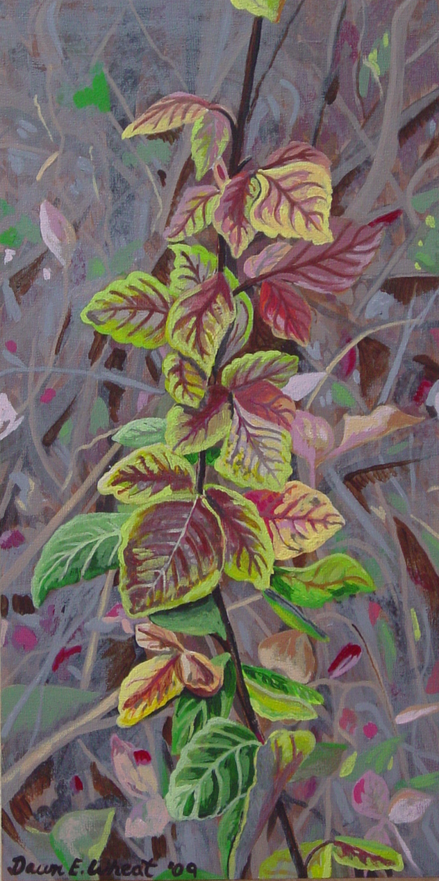 Autumn Leaves gallery