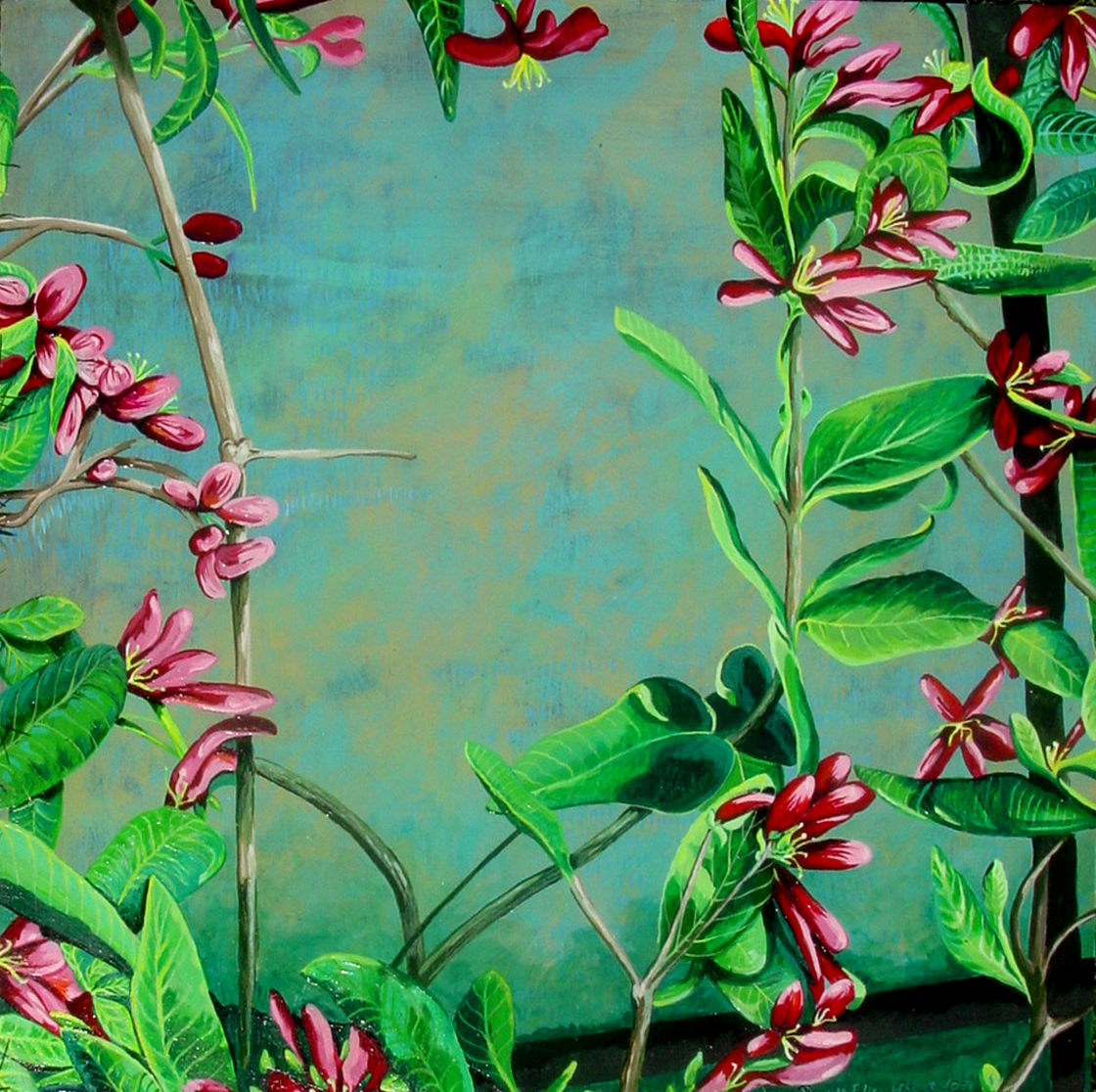 Pink Honeysuckle gallery