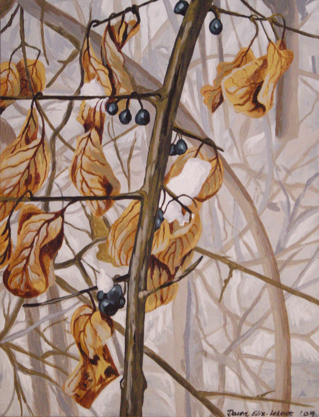 Winter Comes gallery