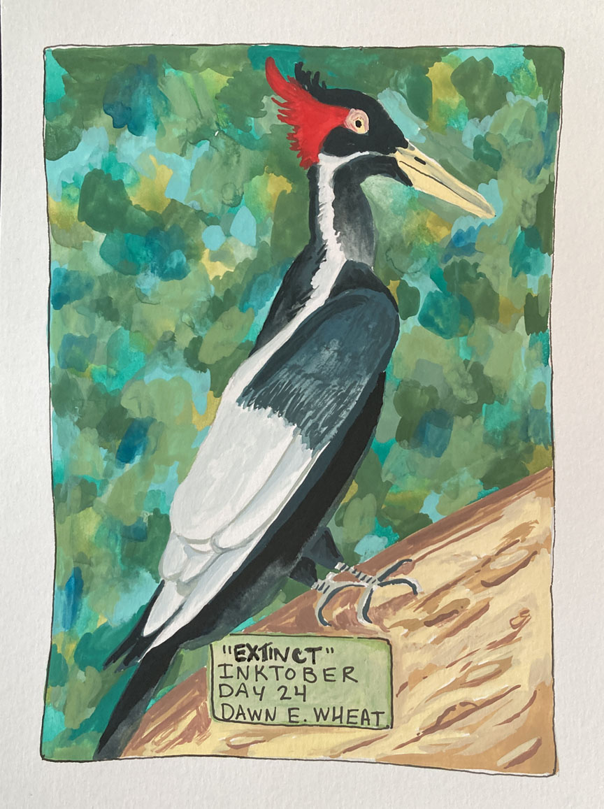 Day 24_Extinct gallery