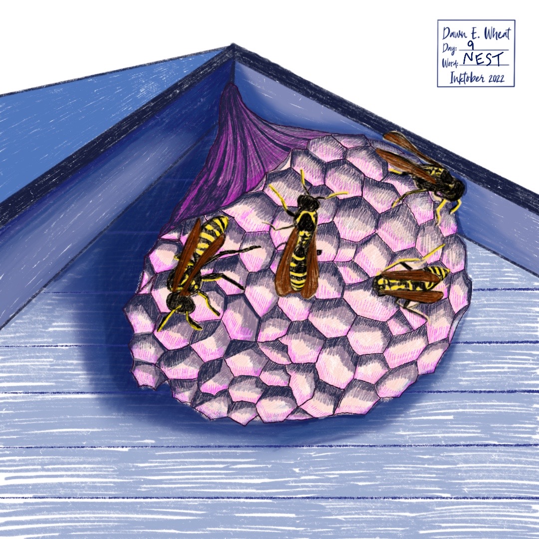 Nest_INKTOBER gallery